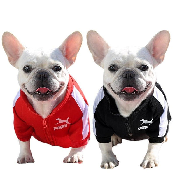 Chaqueta Elegante para Mascotas - Línea Pomii Jackets
