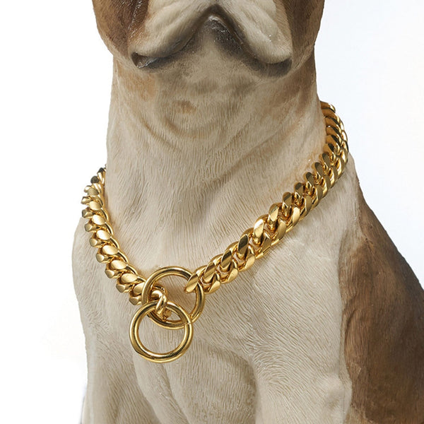 Collar Guardián Dorado para Perros